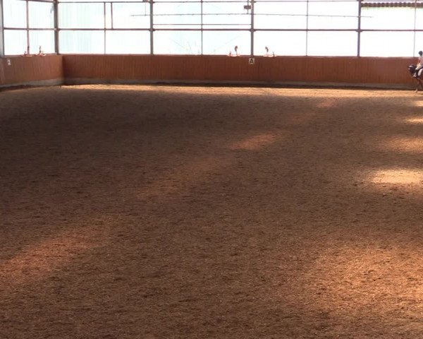 Reitturnier Herbern 2021