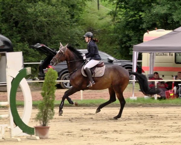 Reitturnier Heiligenwald 2021