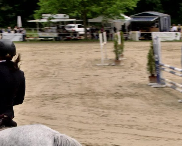 Reitturnier Heiligenwald 2021