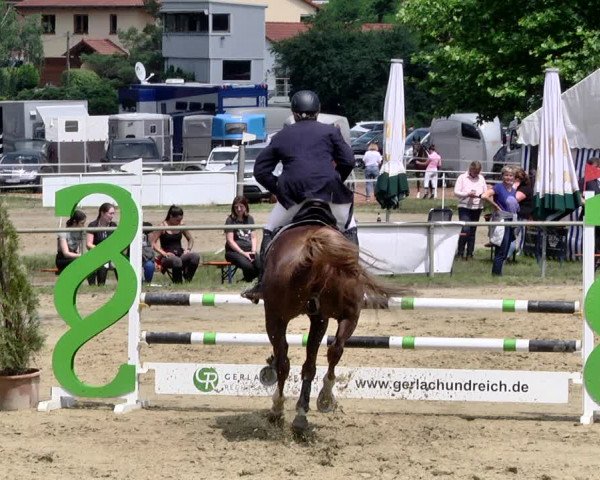 Reitturnier Heiligenwald 2021