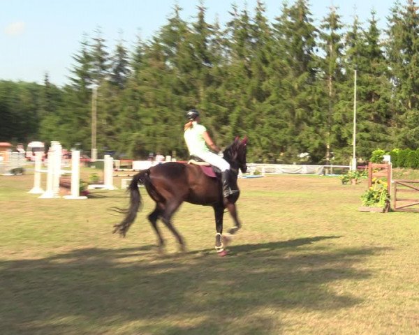 Reitturnier Boock 2021