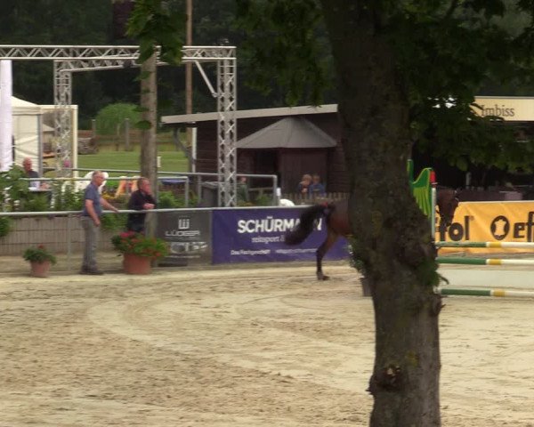 Reitturnier Olfen-Vinnum 2021
