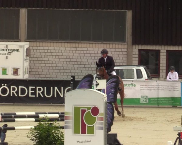 Reitturnier Olfen-Vinnum 2021