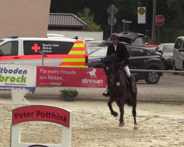 Reitturnier Olfen-Vinnum 2021