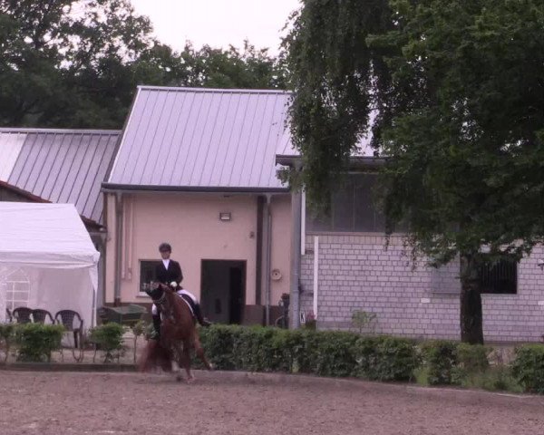 Reitturnier Olfen-Vinnum 2021