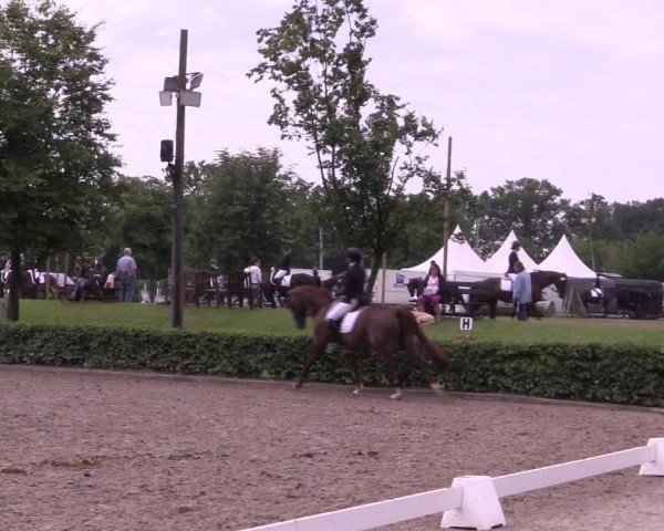 Reitturnier Olfen-Vinnum 2021