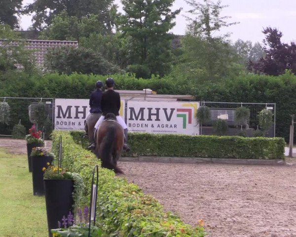 Reitturnier Olfen-Vinnum 2021