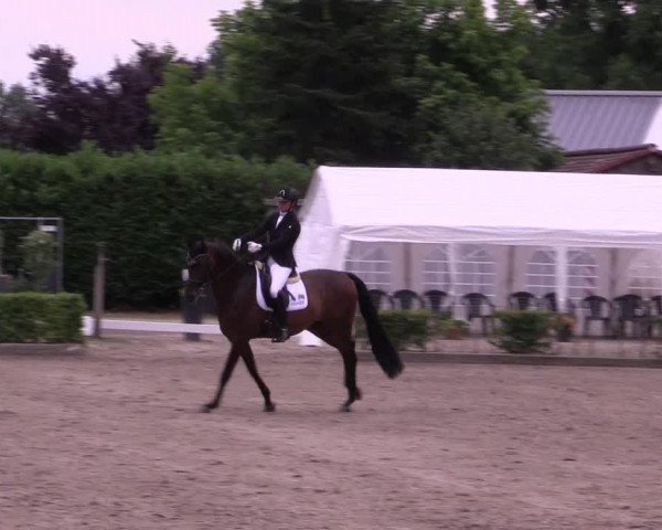 Reitturnier Olfen-Vinnum 2021