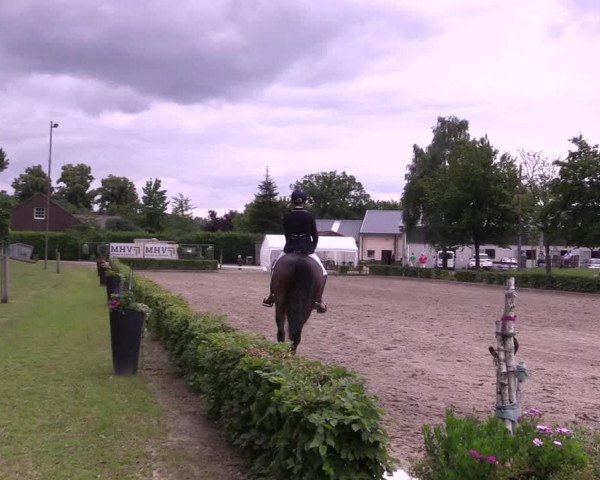 Reitturnier Olfen-Vinnum 2021
