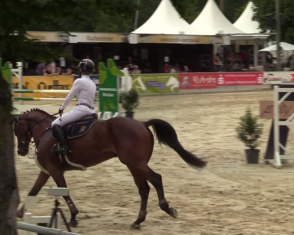 Reitturnier Olfen-Vinnum 2021