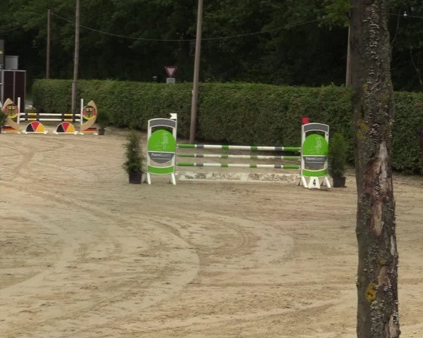 Reitturnier Olfen-Vinnum 2021