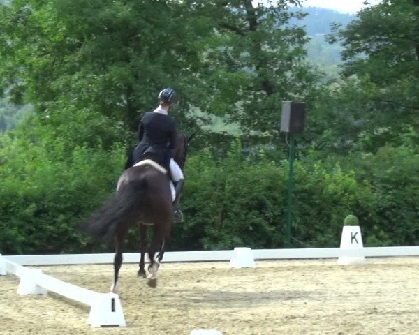 Giebelwald Classics mit Westfälische Meisterschaften Dressur und Springen 2021