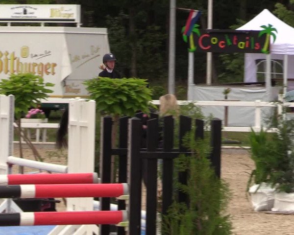 Reitturnier Ladelund 2021
