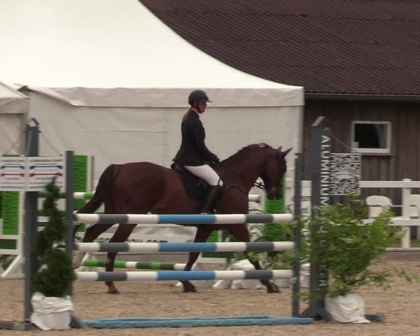 Reitturnier Ladelund 2021