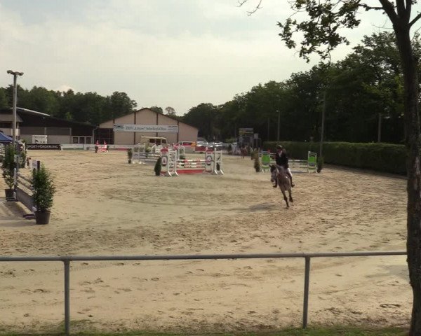 Reitturnier Olfen-Vinnum 2021
