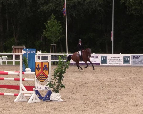 Reitturnier Ladelund 2021