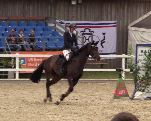 Reitturnier Ladelund 2021