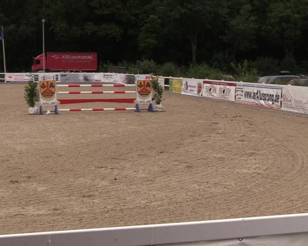 Reitturnier Ladelund 2021