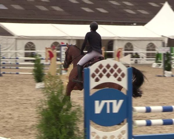 Reitturnier Ladelund 2021