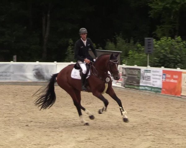 Reitturnier Ladelund 2021
