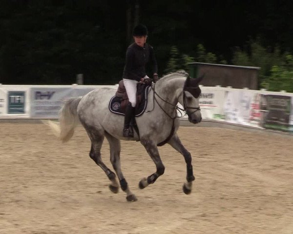Reitturnier Ladelund 2021