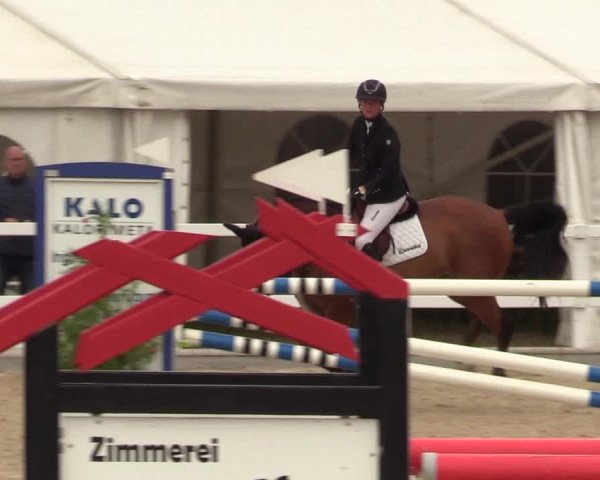 Reitturnier Ladelund 2021