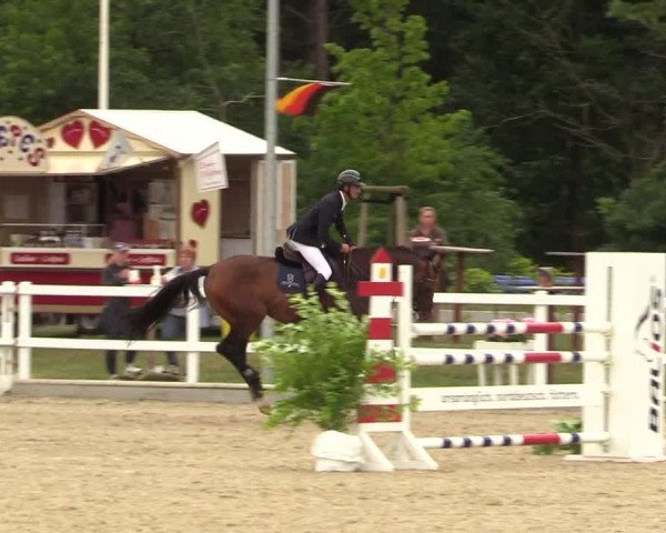 Reitturnier Ladelund 2021