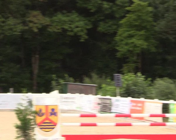 Reitturnier Ladelund 2021