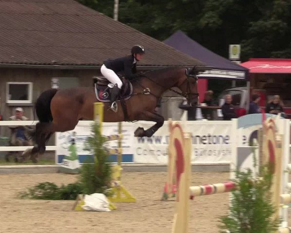 Reitturnier Ladelund 2021