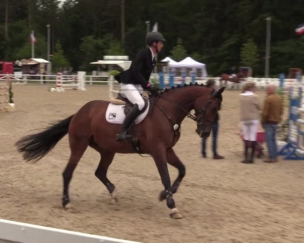 Reitturnier Ladelund 2021