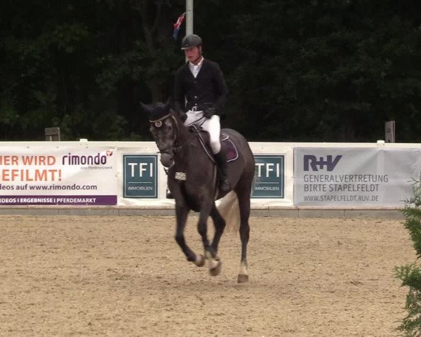 Reitturnier Ladelund 2021