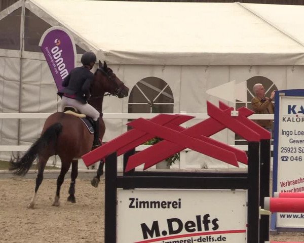Reitturnier Ladelund 2021