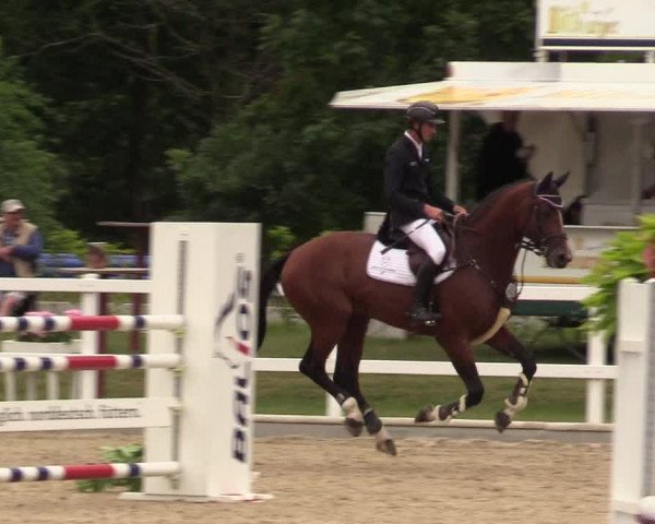 Reitturnier Ladelund 2021