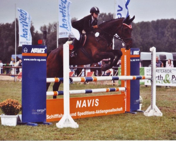 jumper Faisal E (Hanoverian, 1991, from Wanderbursch II)