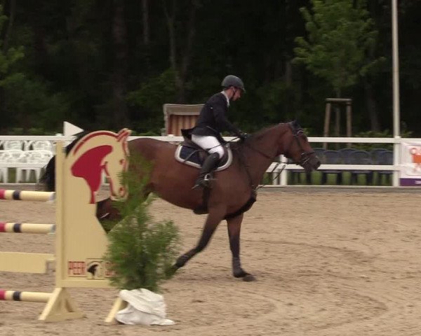 Reitturnier Ladelund 2021