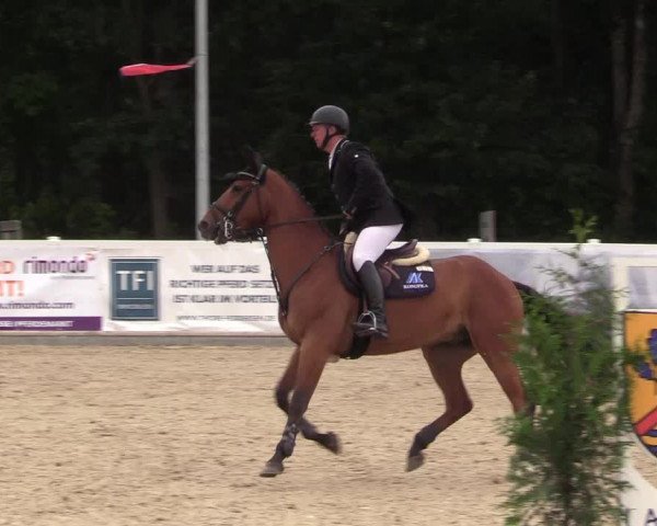 Reitturnier Ladelund 2021
