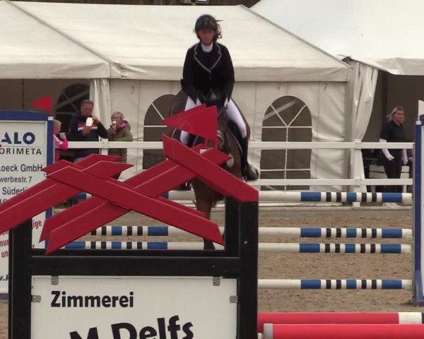 Reitturnier Ladelund 2021