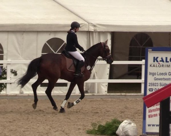 Reitturnier Ladelund 2021
