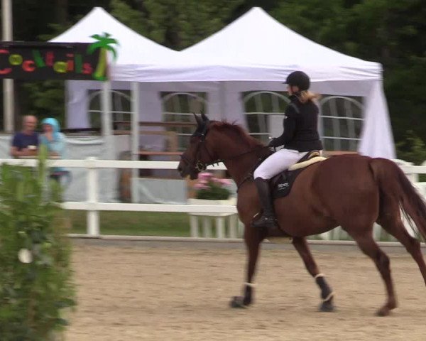 Reitturnier Ladelund 2021