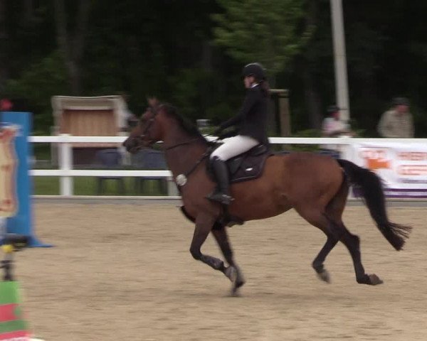 Reitturnier Ladelund 2021