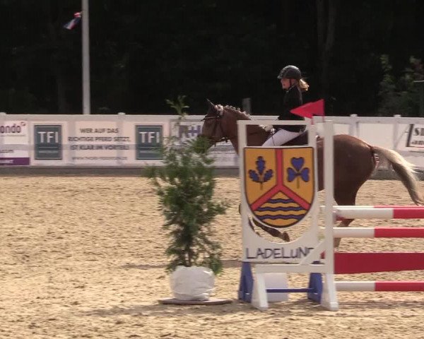 Reitturnier Ladelund 2021