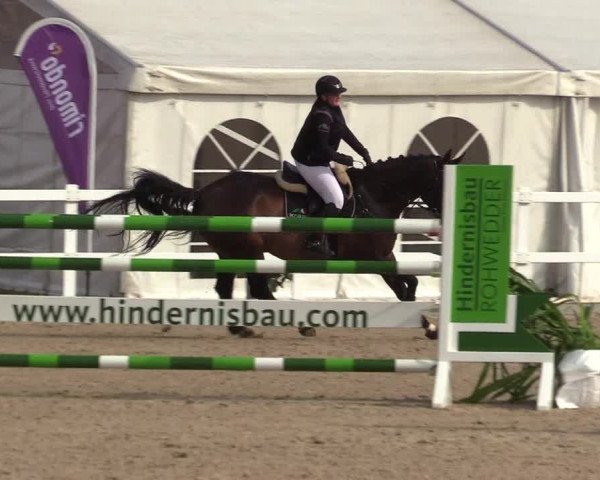 Reitturnier Ladelund 2021