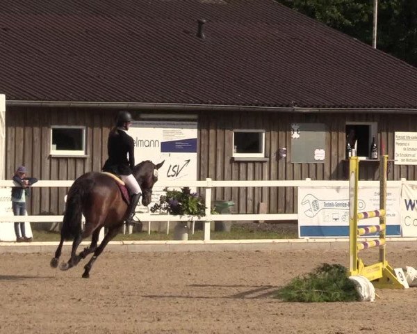 Reitturnier Ladelund 2021