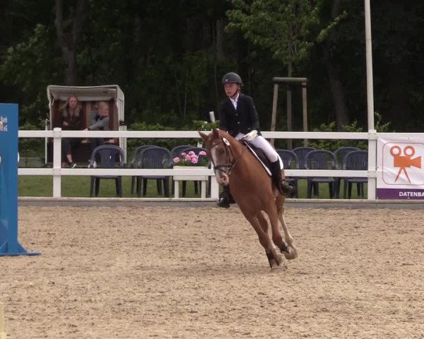 Reitturnier Ladelund 2021