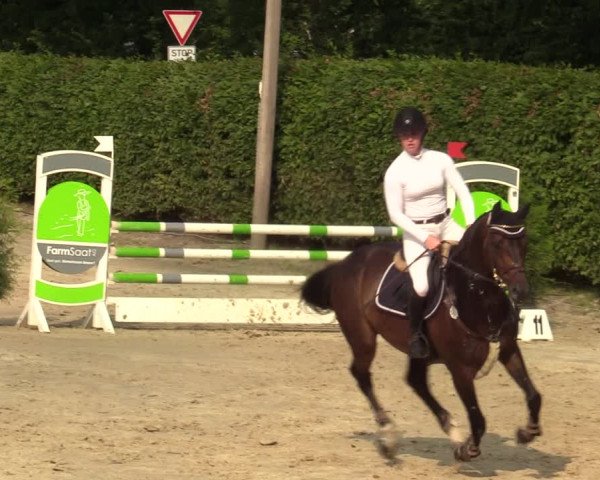 Reitturnier Olfen-Vinnum 2021