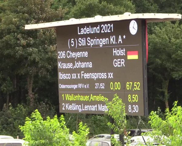 Reitturnier Ladelund 2021