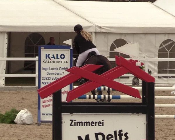 Reitturnier Ladelund 2021