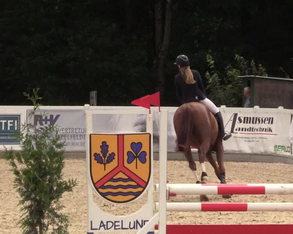 Reitturnier Ladelund 2021