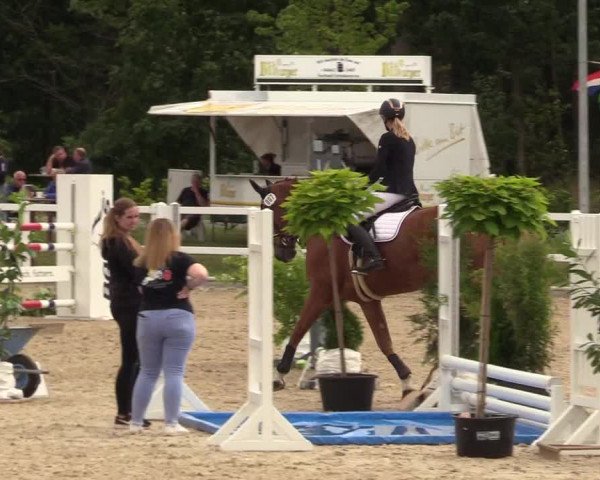 Reitturnier Ladelund 2021