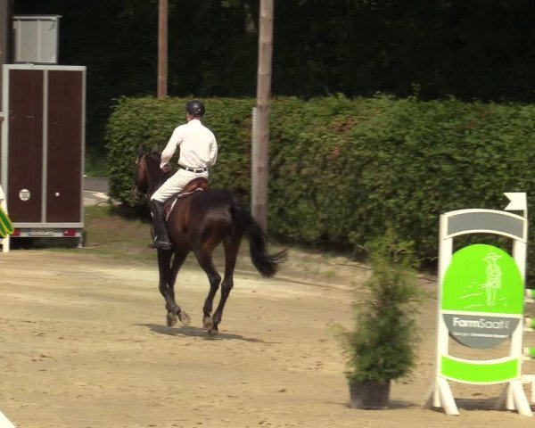 Reitturnier Olfen-Vinnum 2021